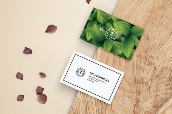 现代简约风格企业品牌素材库精选名片模板 Business Card