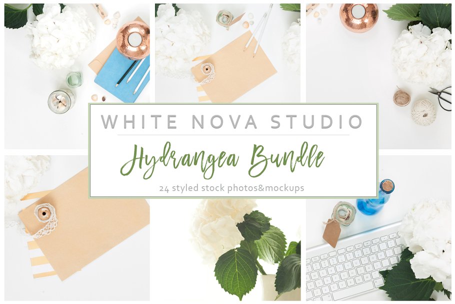 八仙花装饰工作场景样机 Hydrangea Workplace Bundle插图(6)
