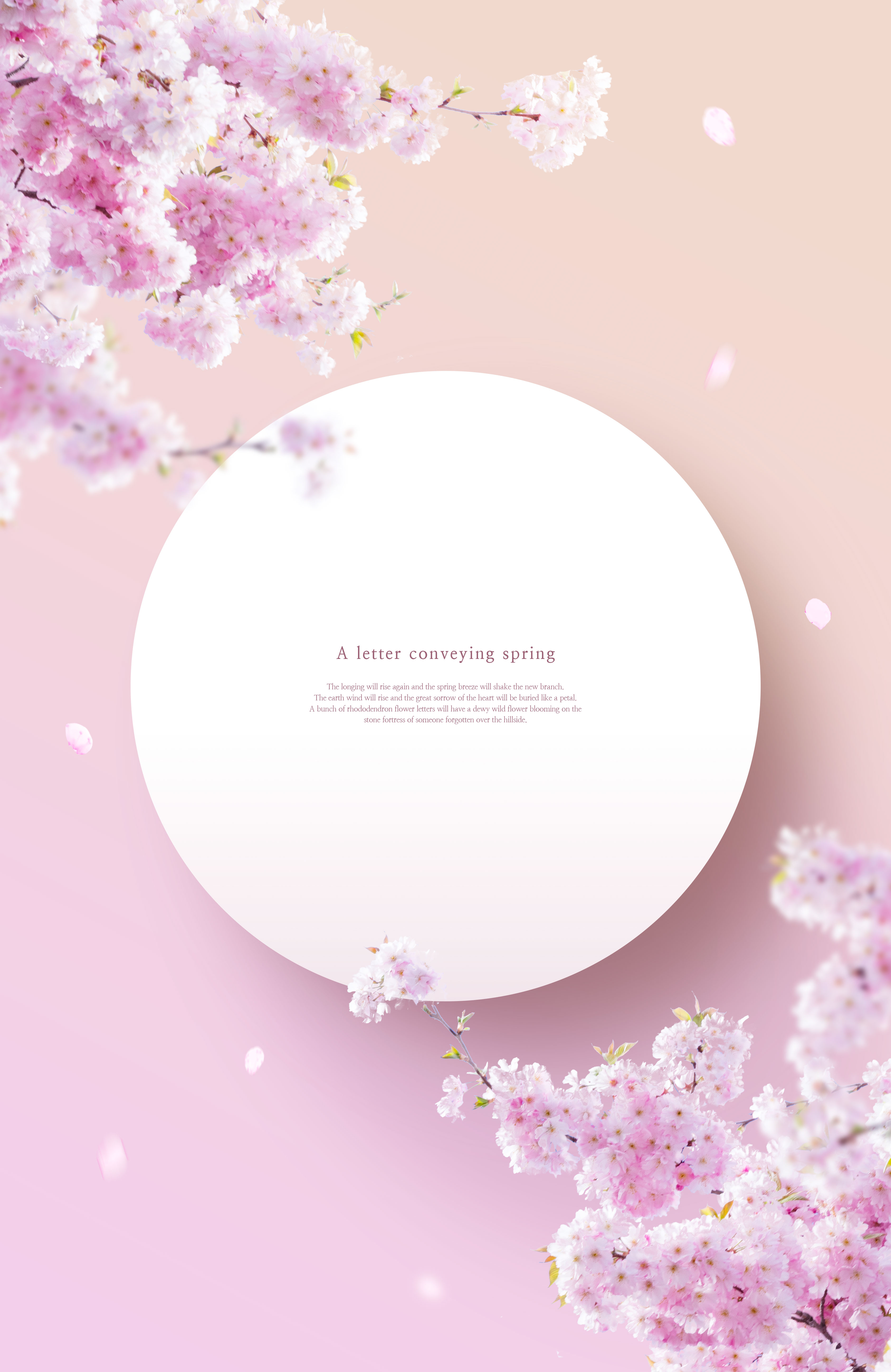 春季花卉主题海报/贺卡/信纸设计psd素材插图