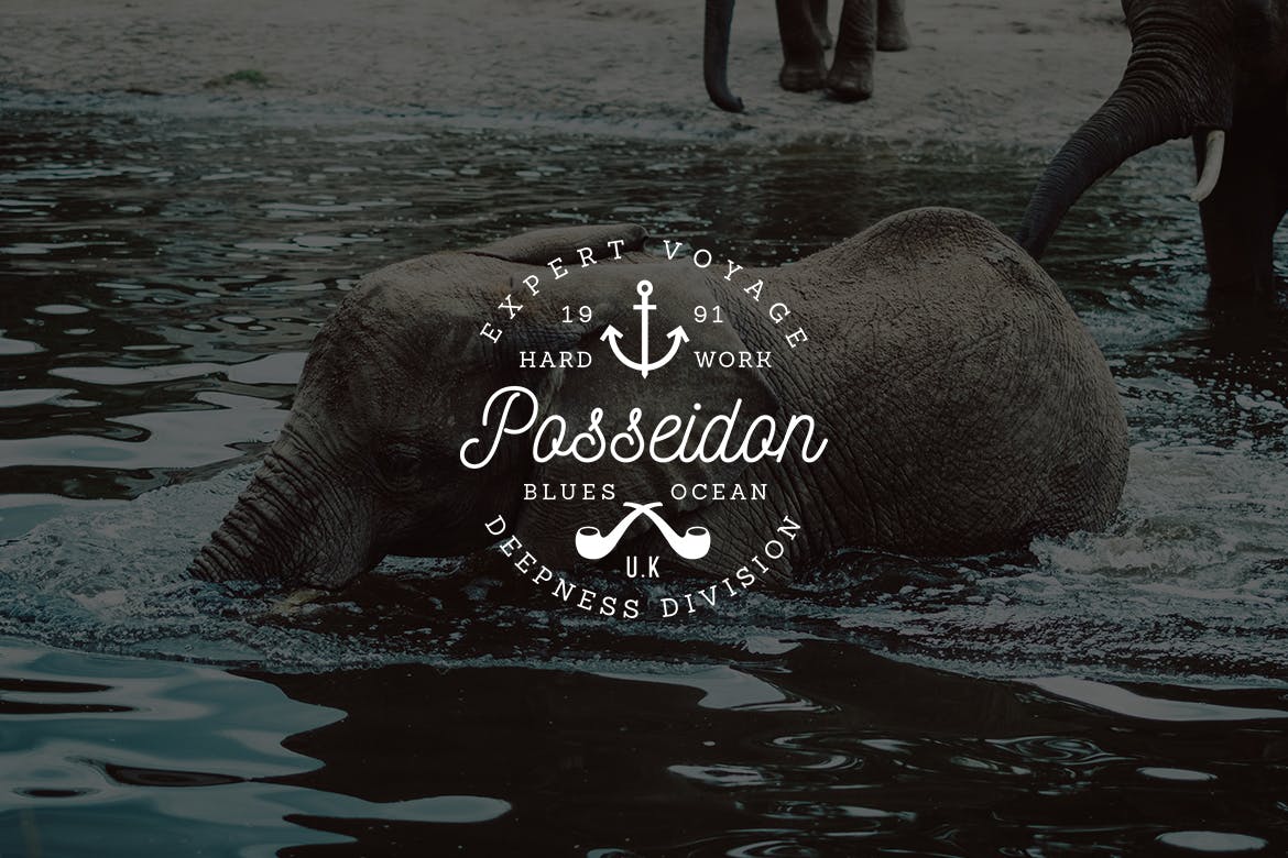 欧美复古设计风格品牌素材库精选LOGO商标模板v38 Vintage Logo & Badge Vol. 38插图(4)