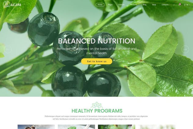 瑜伽健身舞蹈运动网站设计PSD模板 Aasana Yoga Fitness Gym Dance Health PSD插图(5)