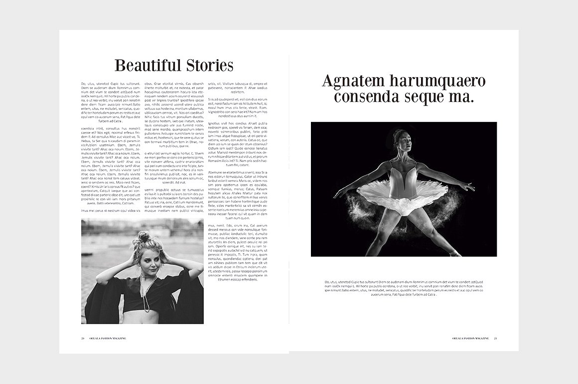 OhLaLa Magazine Template一套概念的极简主义多用途杂志模板下载[indd]插图(9)