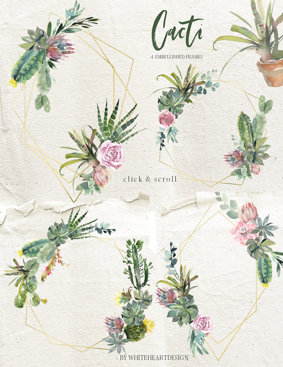 仙人掌水彩剪贴画 Cacti Watercolor Cactuses Clipart插图(8)