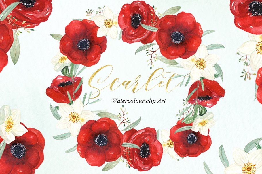 银莲花水彩剪贴画 Anemones scarlet Watercolour clipart插图(2)