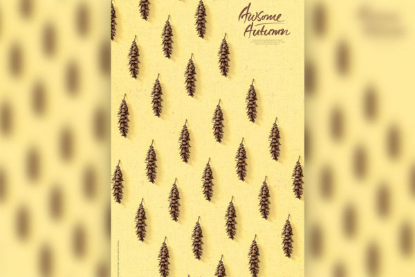 秋收季节野松果海报背景图片素材