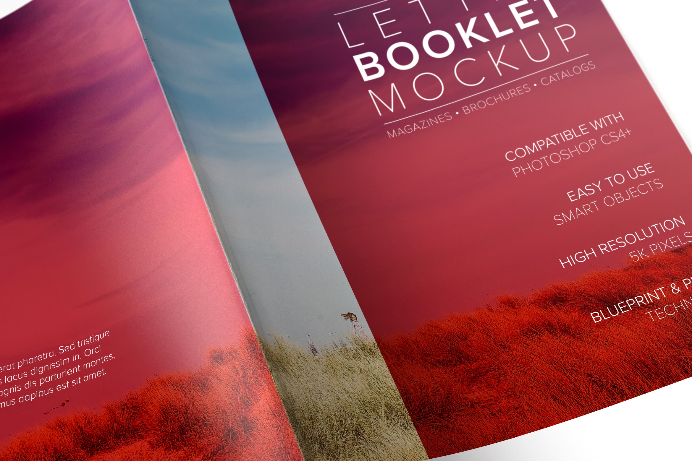 信纸小册子封面封面印刷效果预览样机01 Letter Booklet Spreads Covers Mockup 01插图(4)