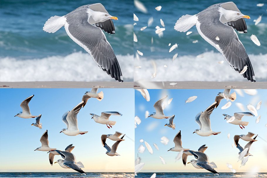 5K高清分辨率羽毛叠层背景 5K Feathers Overlays插图(3)