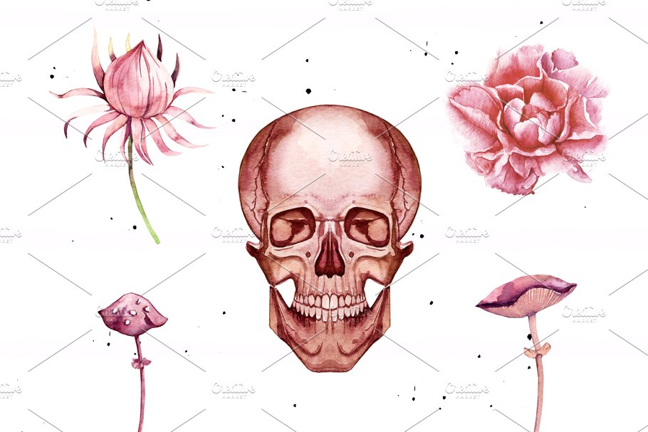 神秘秋天水彩剪贴画合集 Watercolor Mysterious Autumn插图(2)