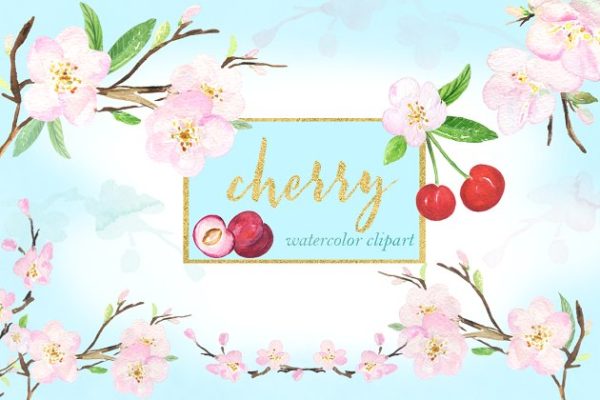 甜美的手绘樱桃樱花水彩剪贴画 Cherry flowers. Waterolor clipart.