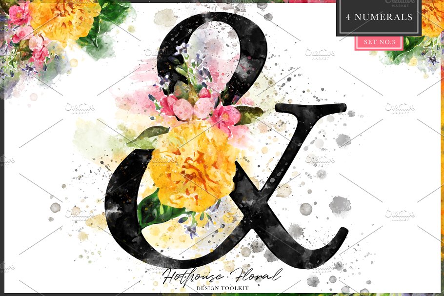 数码绘制温室花卉设计素材包(独立花卉元素&花式字母数字) Hothouse Floral Design ToolKit插图(14)
