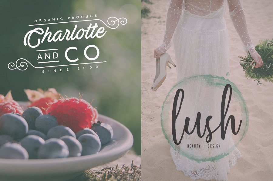 英文手绘字体Logo合集7 Logo Set 7插图(1)