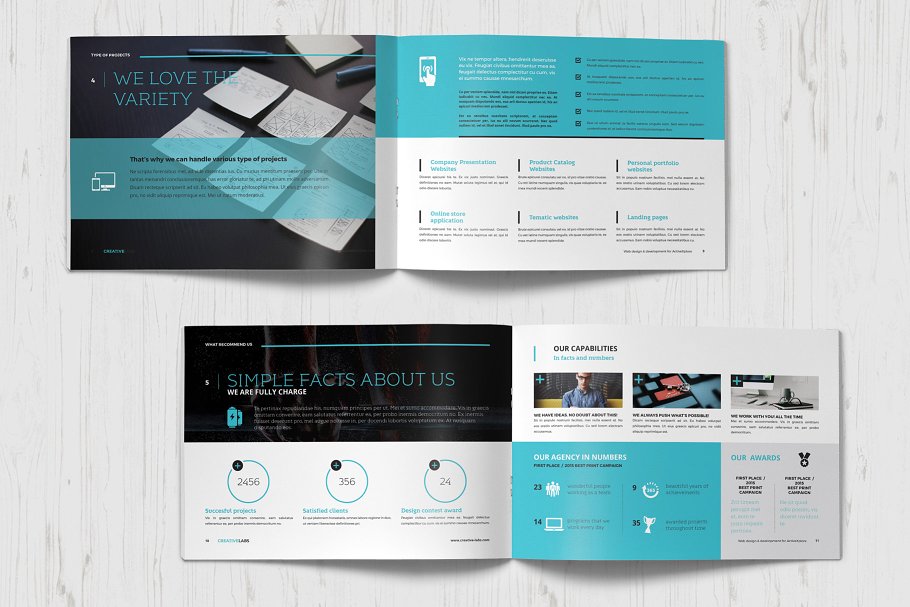 一份专业性的企业提案/创业方案小册子模板插图(3)