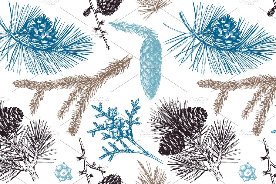 矢量针叶树图形素材集 Vector Conifer Trees Collection插图(6)