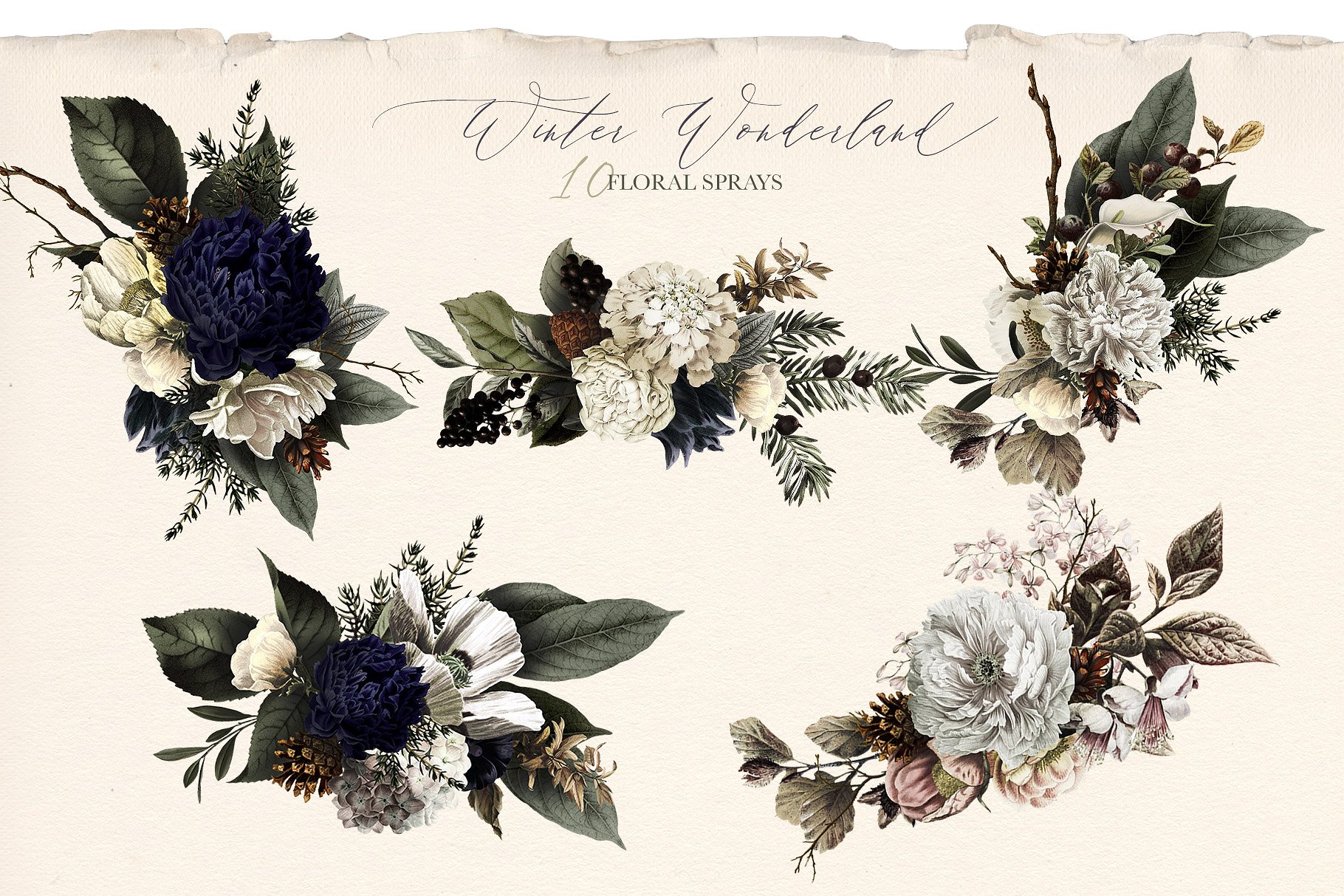 典雅风冬季仙境花束插画素材 Winter Wonderland Floral Bouquets插图(4)