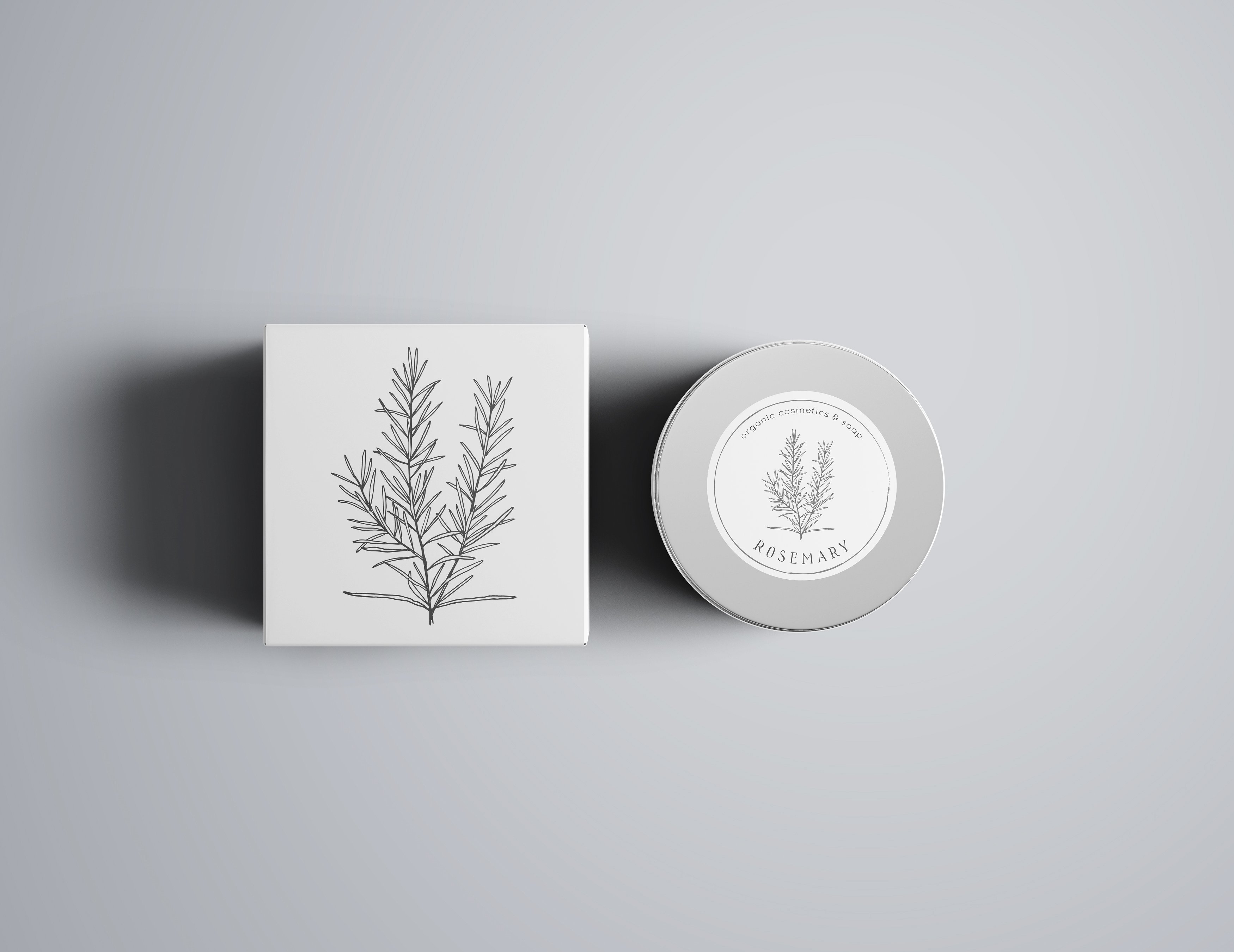 极简主义手绘植物插图包插图(5)