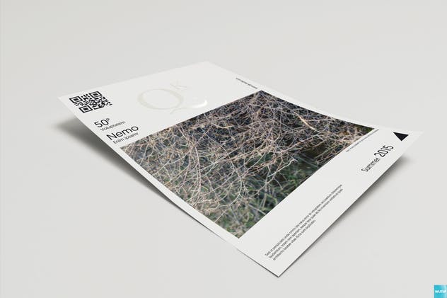 多视角海报传单样机 A4/A5 Poster-Flyer Mockups插图(1)