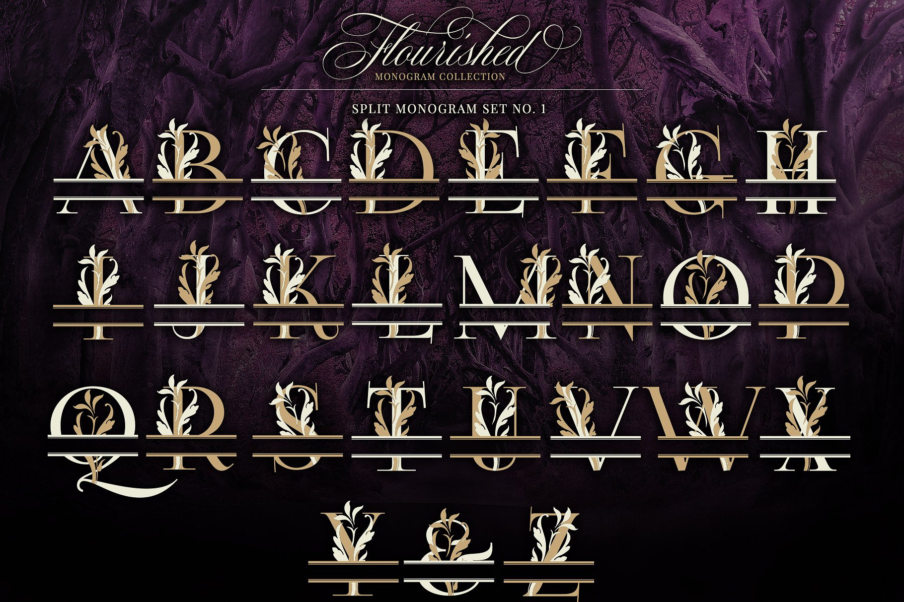 优雅手绘花卉装饰字母矢量素材 Flourished Monogram Collection插图(2)