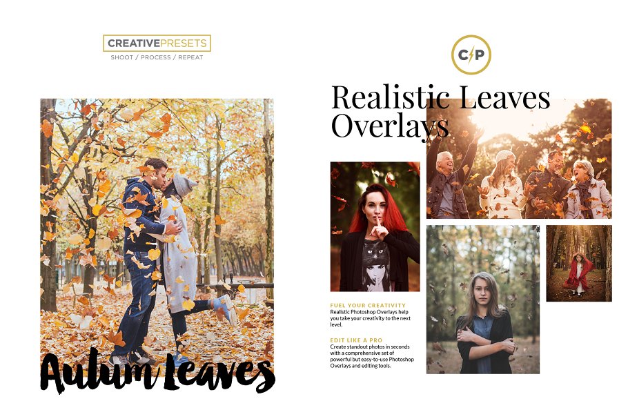 秋季枫叶落叶叠层背景 Falling Leaves Overlays插图(1)