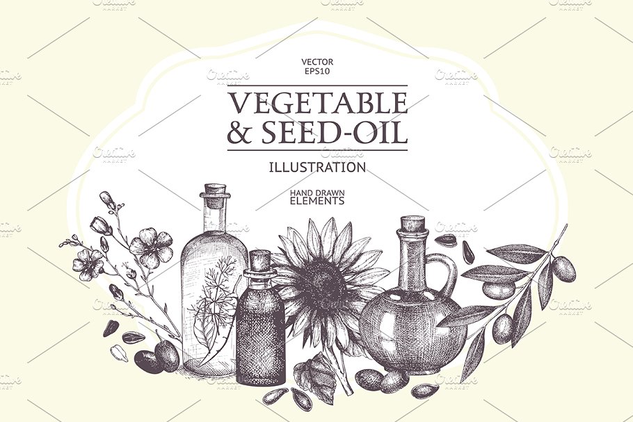 植物油相关设计素材包 Seed Oil Design Collection插图(2)