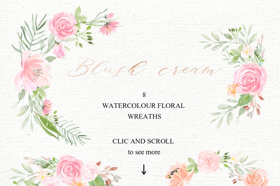 胭脂红水彩花卉水彩 Blush cream. Femenine flowers插图(13)