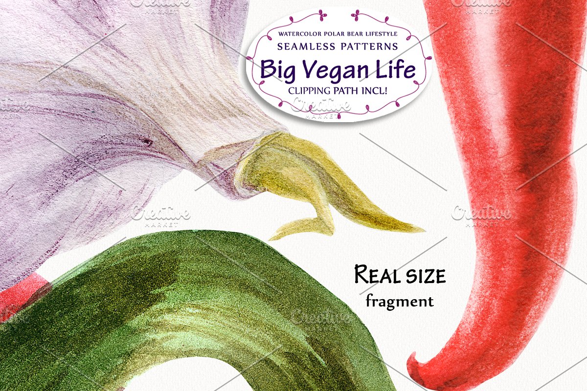 营养蔬菜水彩元素插画合集插图(3)