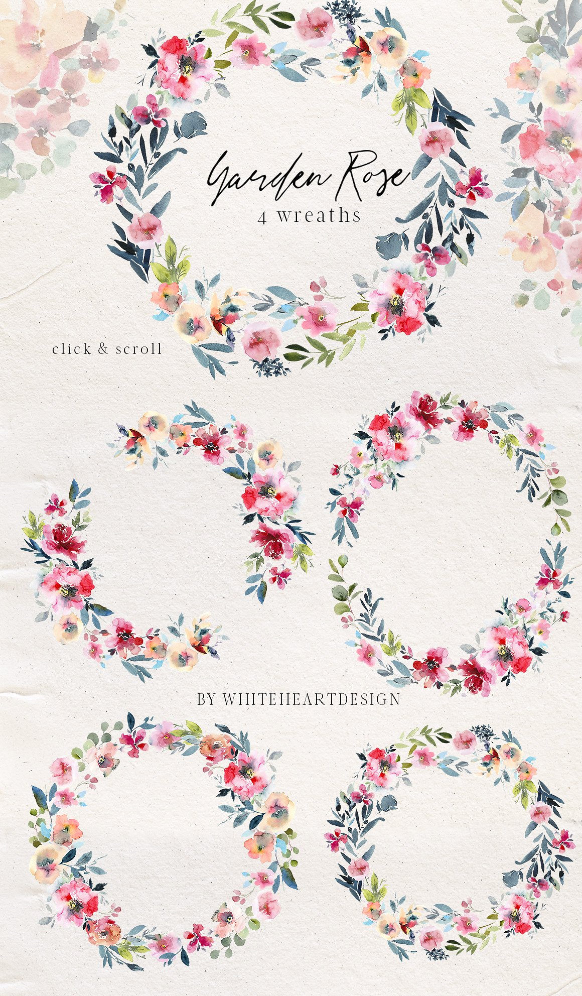 花园玫瑰水彩花卉套装 Garden Rose Watercolor Floral Kit插图(4)