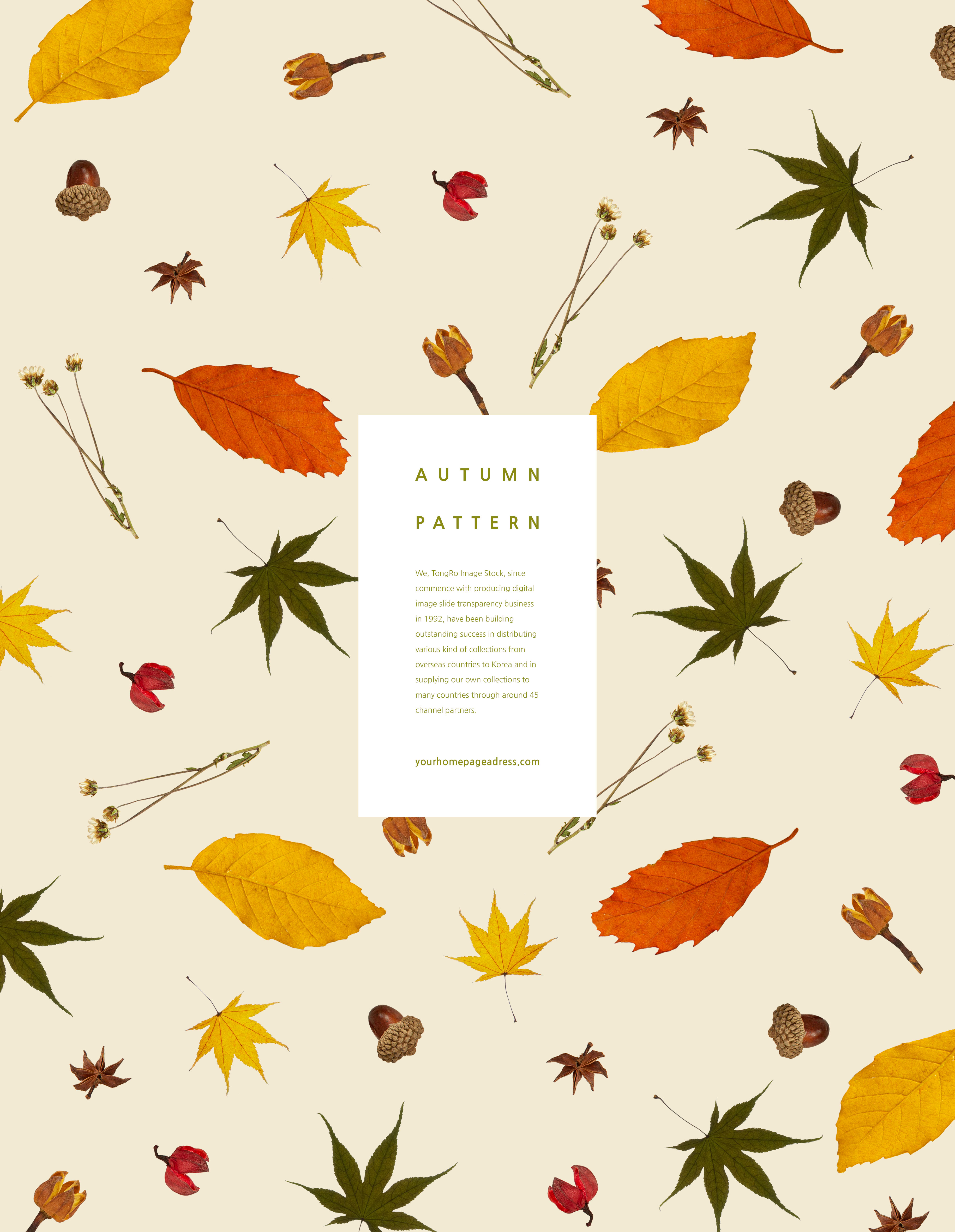 秋天主题叶子元素图案背景素材合集[PSD]插图(6)