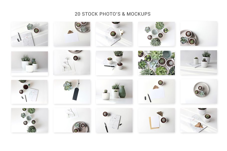 简约绿色生活方式照片样机模板 Stock photo mockups Green lifestyle插图(4)