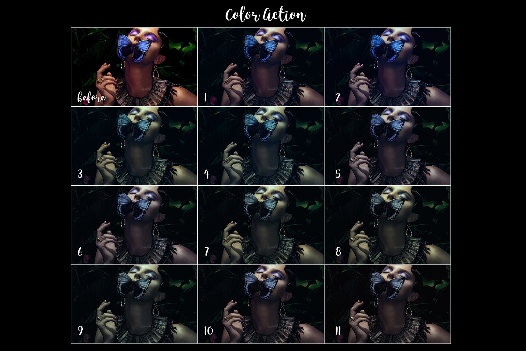 5K高分辨率逼真蜜蜂照片叠层背景素材 5K Bees Overlays – Dark Version插图(4)