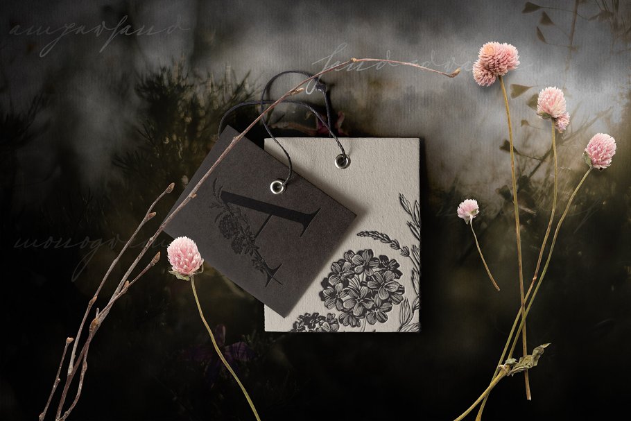 魔法花卉装饰字母创意字母集 Enchanted Florals Monogram Set插图(6)