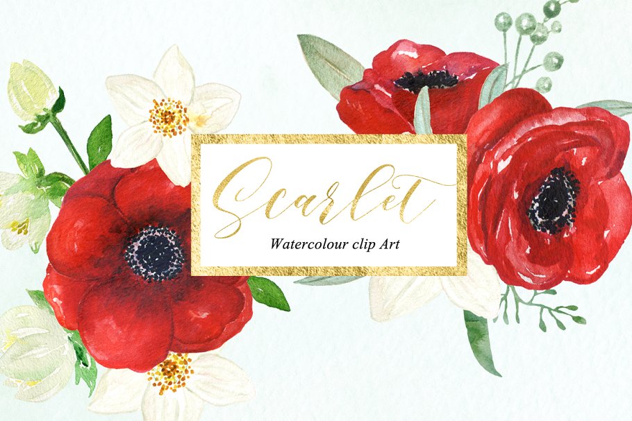 银莲花水彩剪贴画 Anemones scarlet Watercolour clipart插图(3)