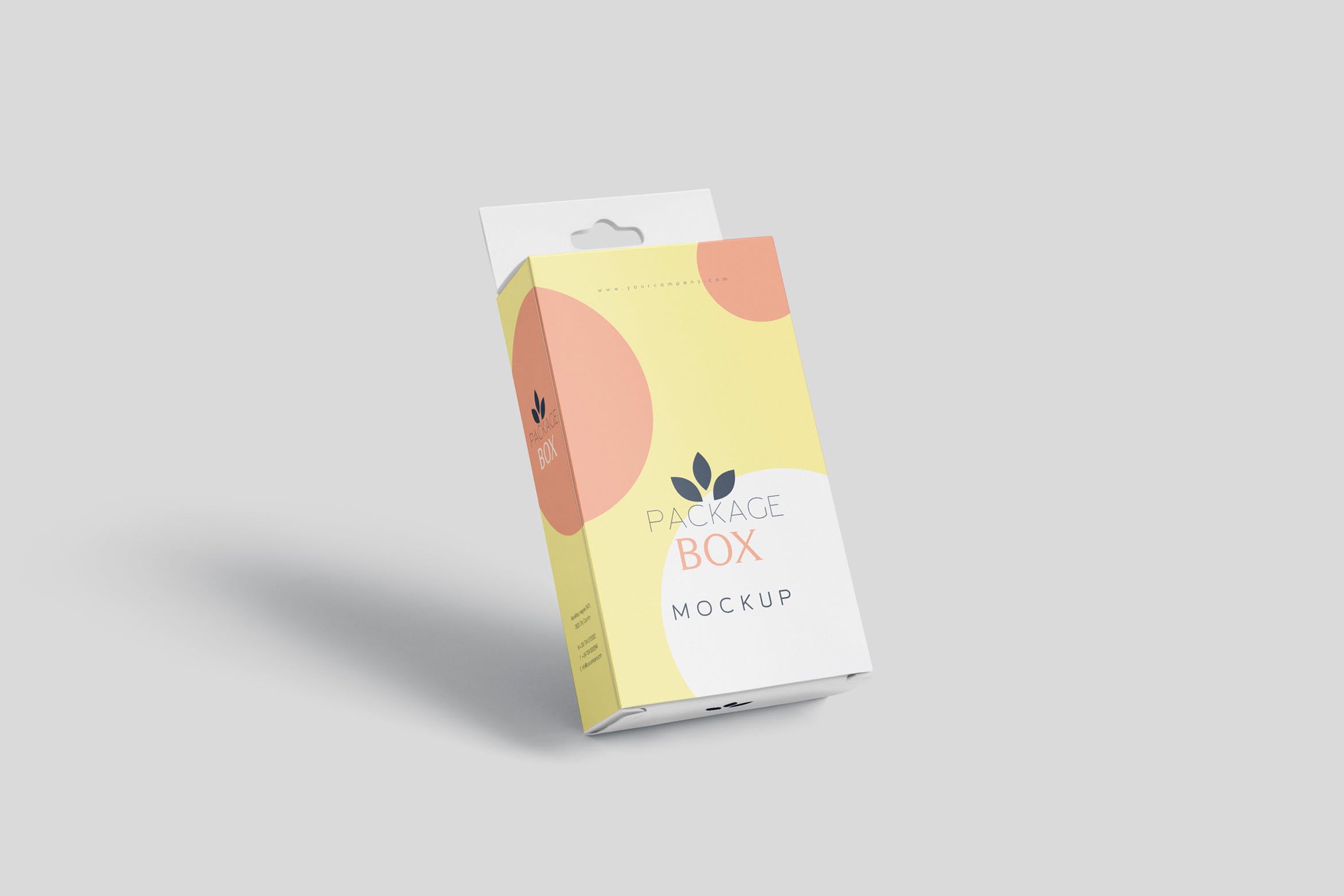 带挂耳设计扁平矩形产品包装盒效果图素材库精选 Package Box Mockup Set- Flat Rectangle with Hanger插图