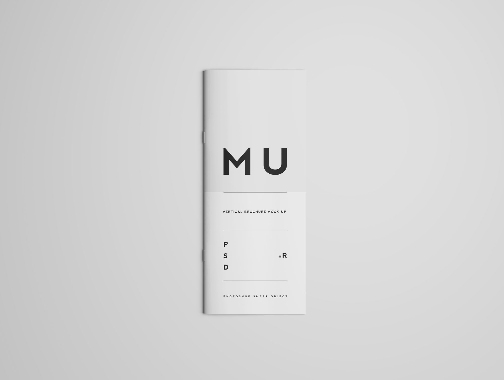 纵向规格企业宣传广告小册子样机插图(7)