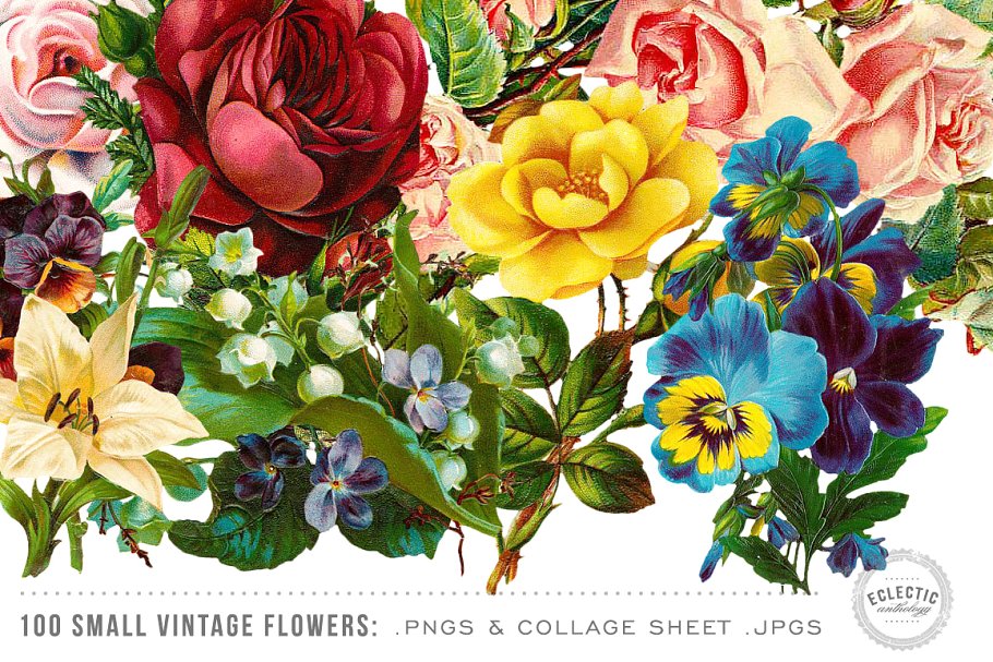100张复古花卉插画剪贴画 100 Small Vintage Flower Graphics插图(1)