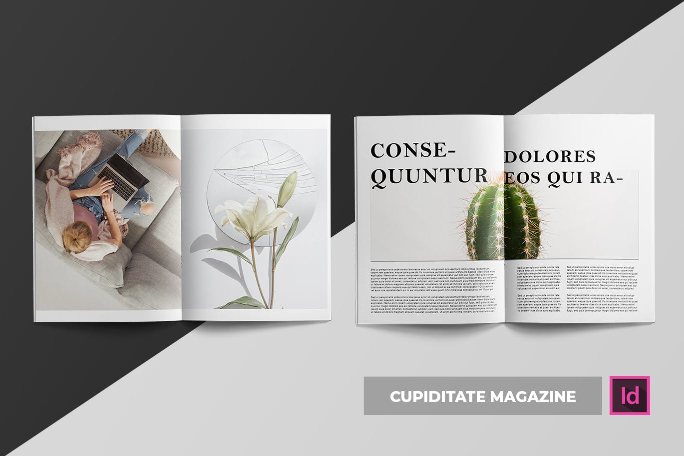 建筑/摄影/设计主题杂志设计模板 Cupiditate | Magazine插图(3)