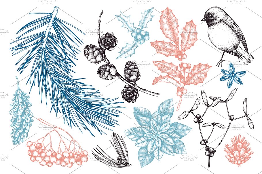 手绘冬天森林元素 Winter Forest Hand Drawn Elements插图(1)