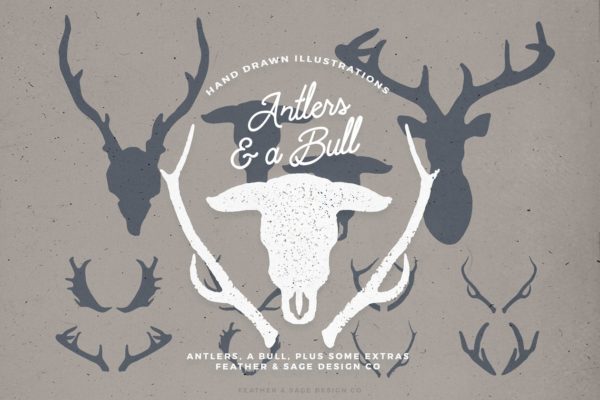鹿角＆公牛手绘矢量插图 Antlers &amp; a Bull Vector Graphics