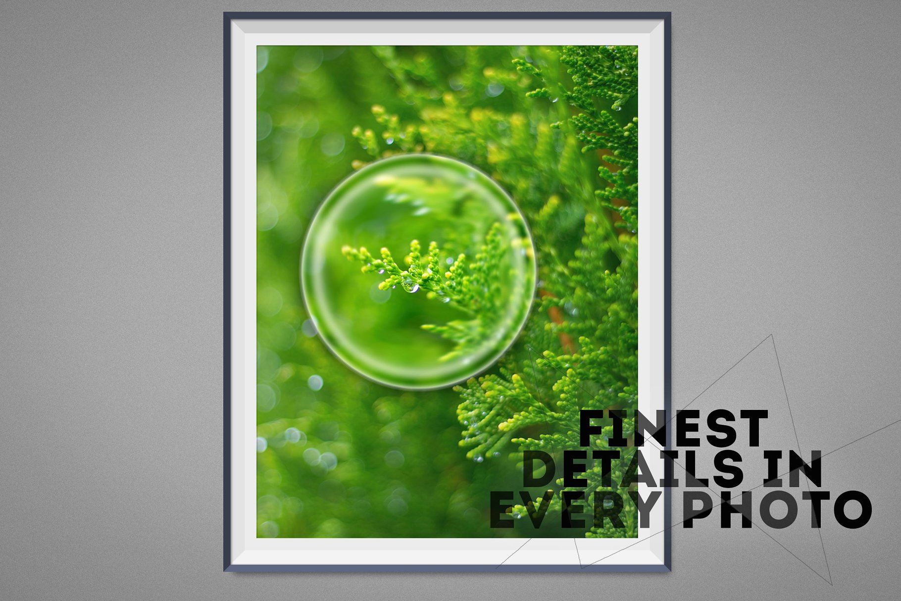 200张摄影大师精选高清照片合集 200 Photos Mega Collection CHAPTER 1插图(2)