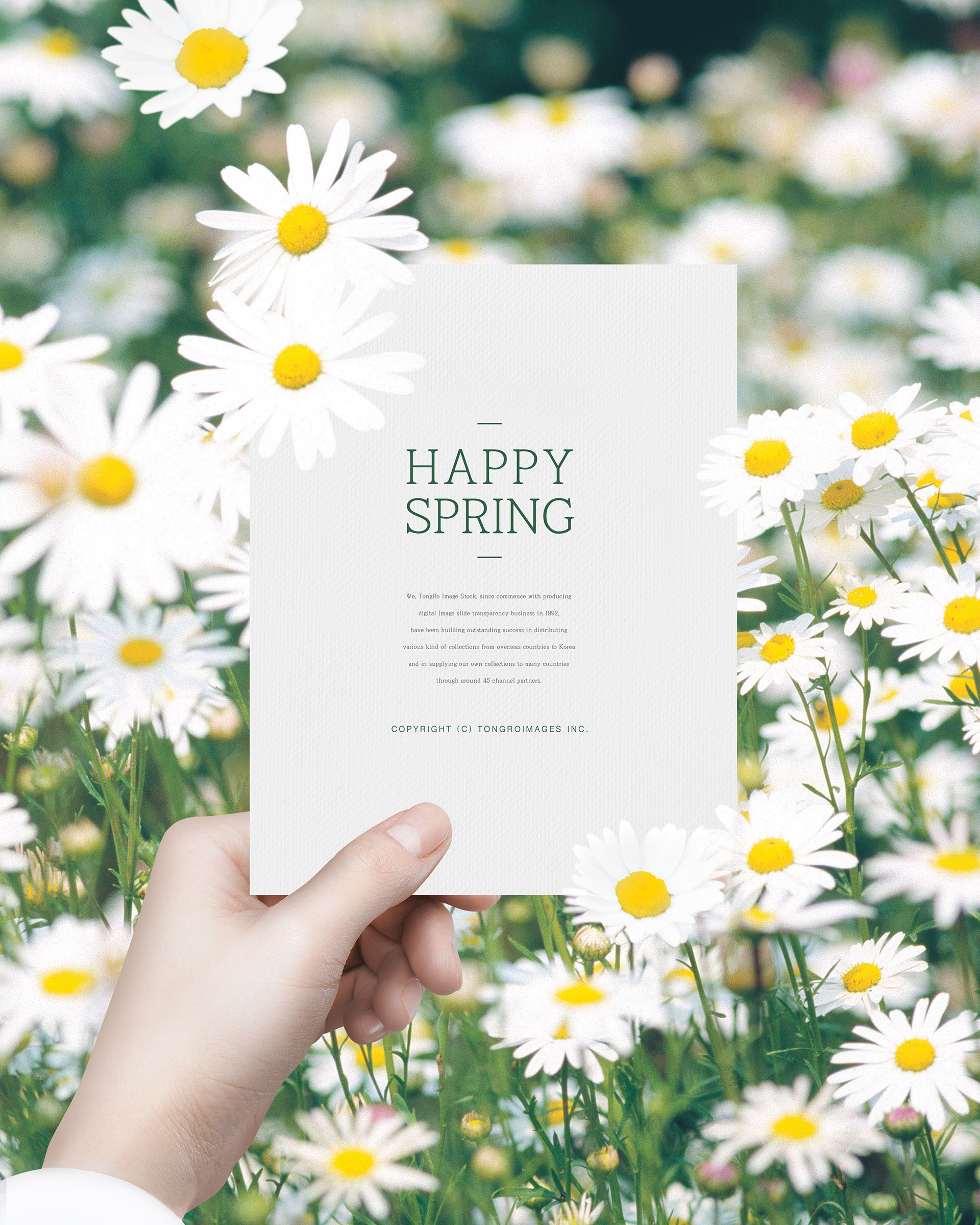 清新的春天氛围创意海报模板PSD插图(4)