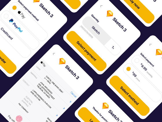 Sketch 支付表单概念设计素材之家精选sketch素材