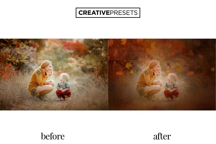 秋季枫叶落叶叠层背景 Falling Leaves Overlays插图(3)