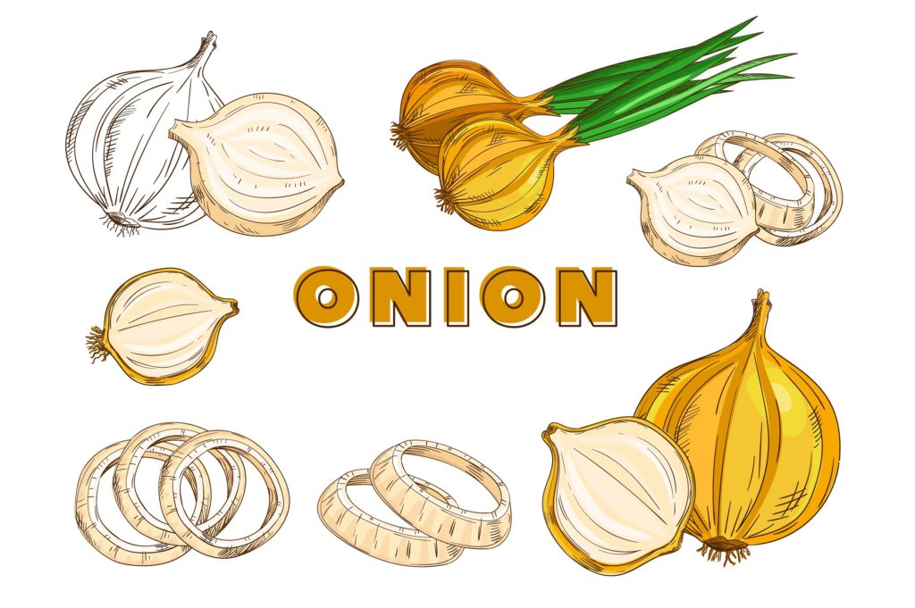 复古风格手绘矢量蔬菜素材打包下载[ai,psd,eps,png,jpg]插图(3)