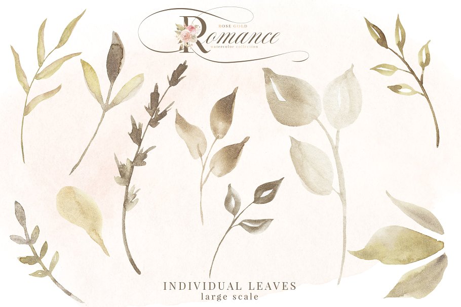 玫瑰金浪漫水彩花卉剪贴画 Rose Gold Romance Watercolor Flowers插图(10)