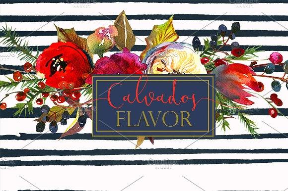 冬季红色水彩花卉剪贴画合集 Red Winter Flowers Clipart Set插图(4)