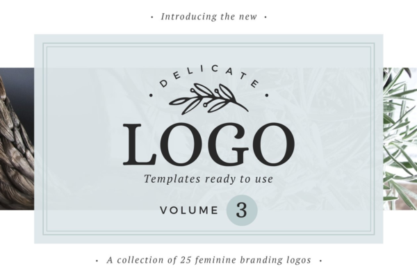 商标设计模板素材 Delicate Logos – Volume 03