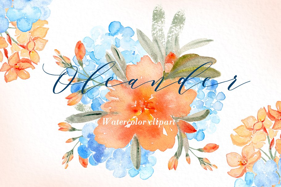 水彩夹竹桃花卉剪贴板 Peach Oleander. watercolor插图(2)