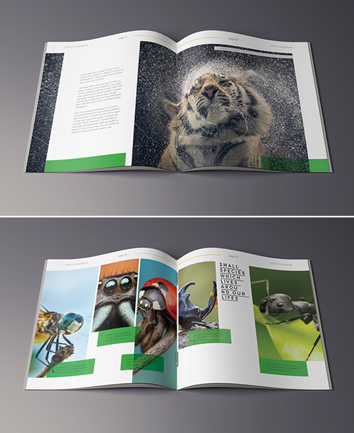 高端摄影作品集画册设计模板 Photography Album插图(11)