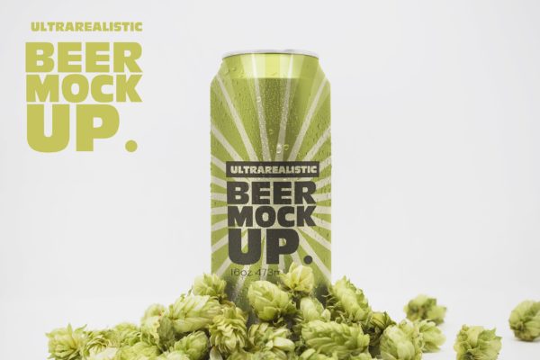 12盎司啤酒易拉罐外观设计前视图素材库精选v2 Front 16oz Beer Can Mockup Vol.2