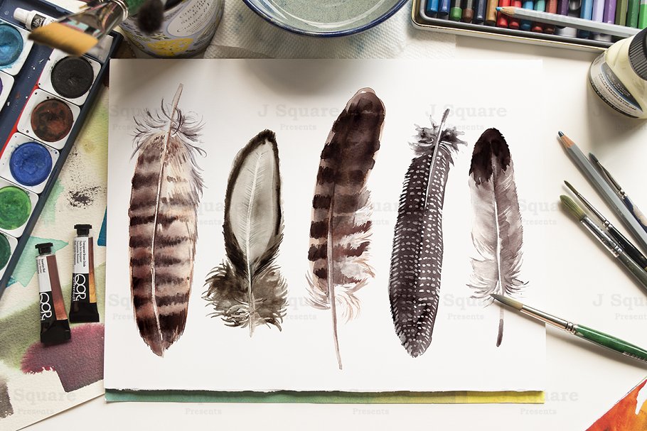 彩色水彩山鸡羽毛剪贴画 Watercolor Feather Clip Arts插图(1)