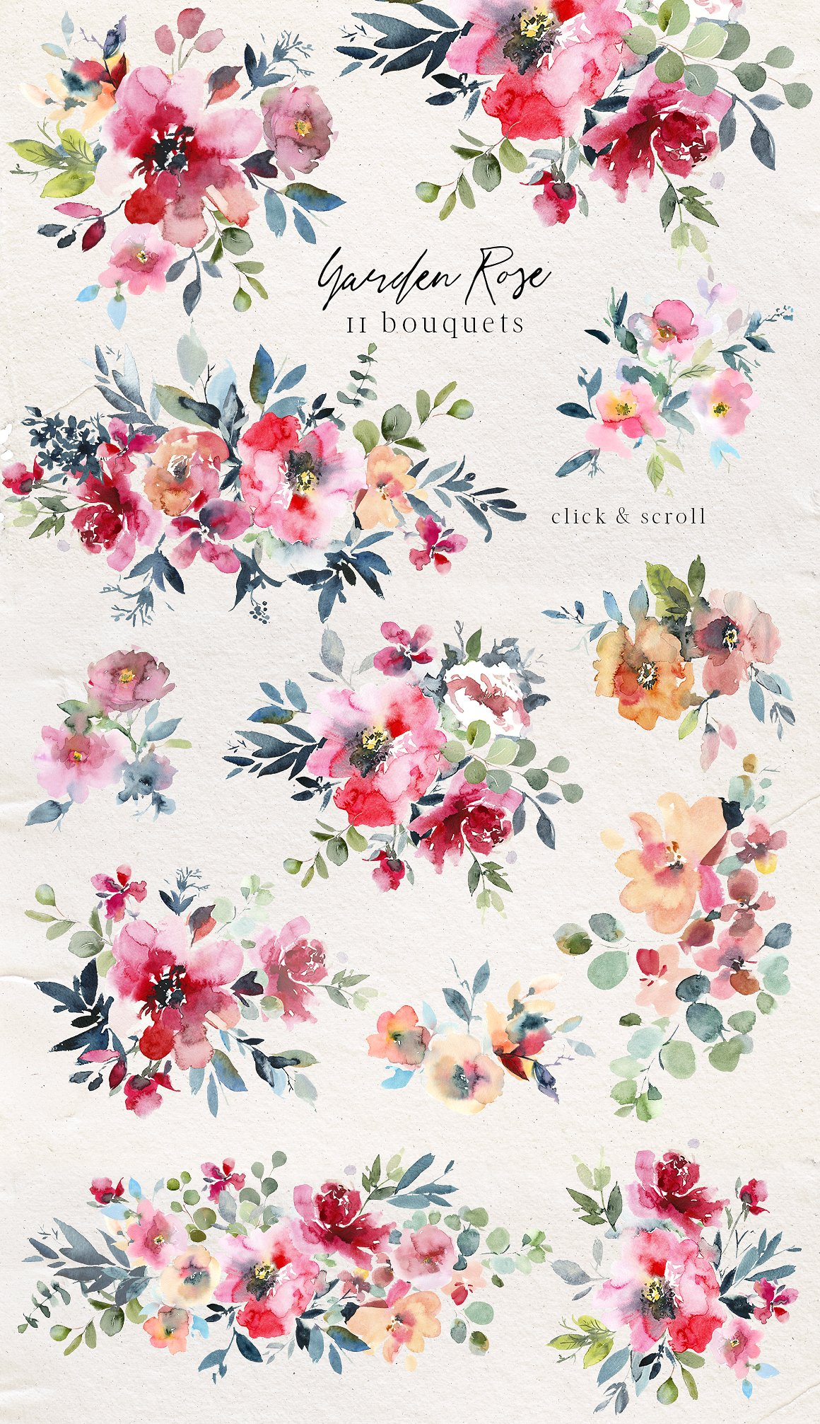 花园玫瑰水彩花卉套装 Garden Rose Watercolor Floral Kit插图(2)